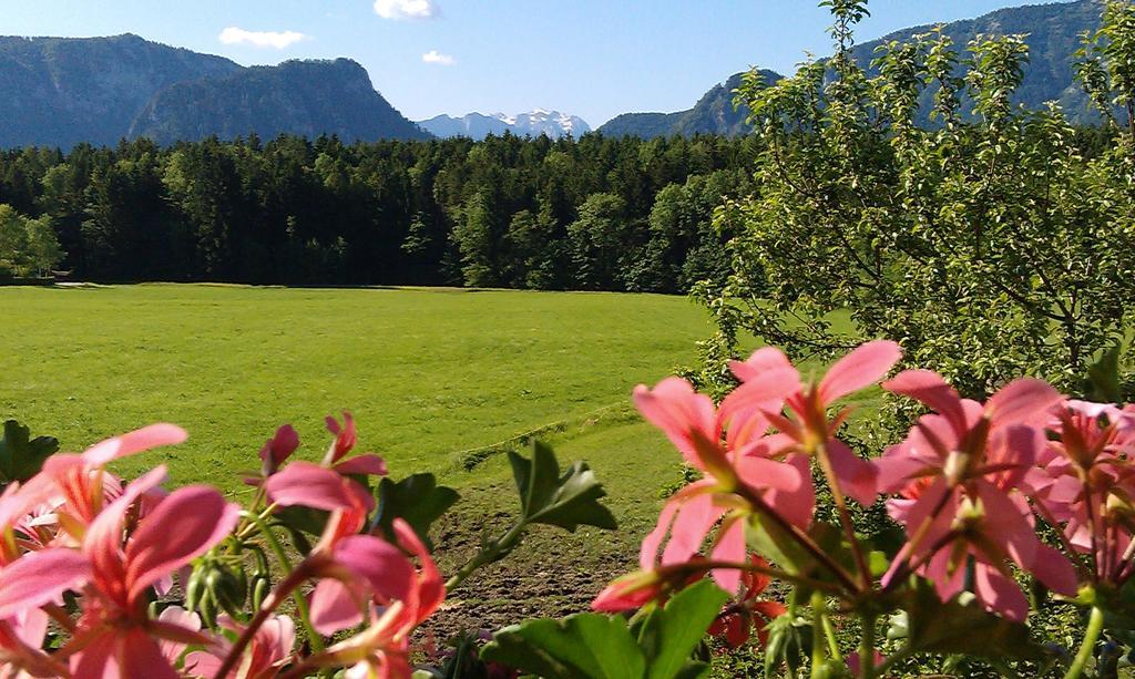 Gaestehaus Restner - Chiemgau Karte อินเซลล์ ภายนอก รูปภาพ